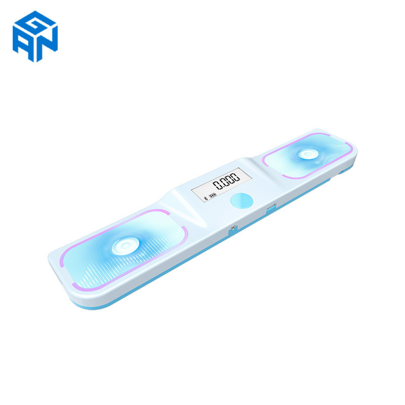 Gan Halo Timer