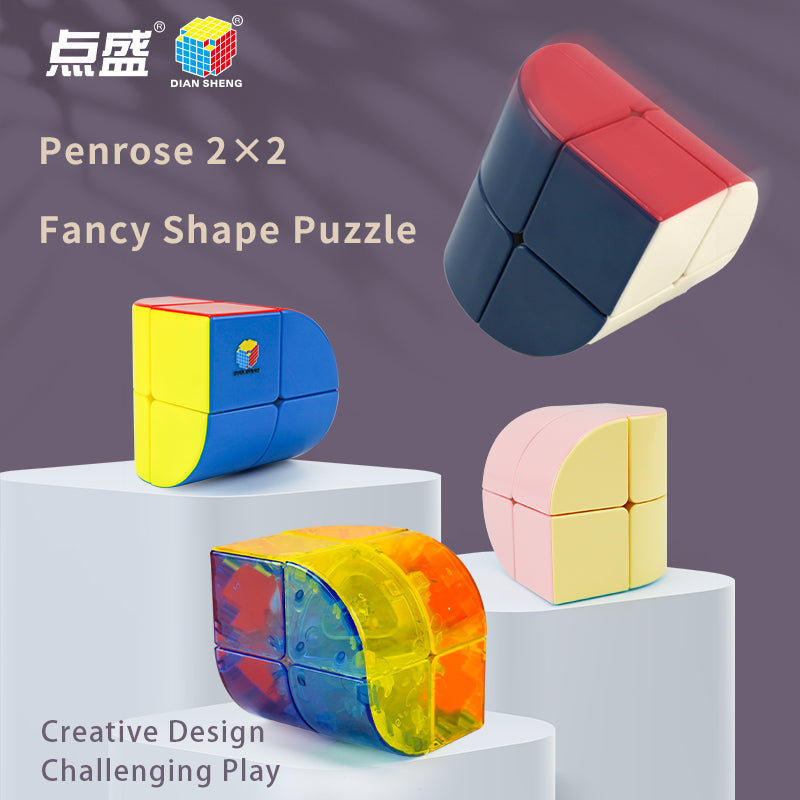 Diansheng Penrose 2x2