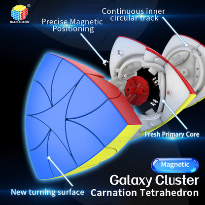 Diansheng Galaxy Cluster Carnation Tetrahedron