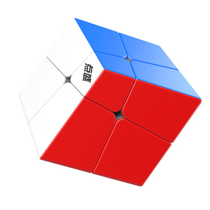Diansheng Squished 2x2 Magnetic