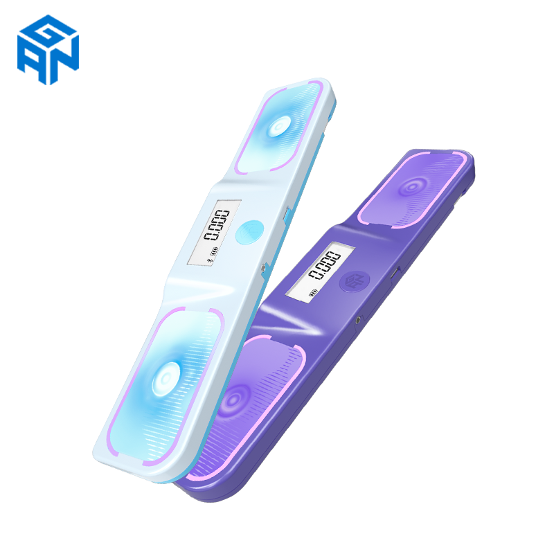 Gan Halo Timer