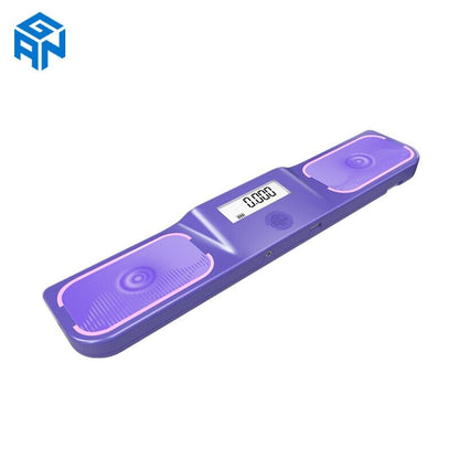 Gan Halo Timer