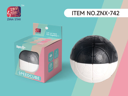 Ziina keychain series