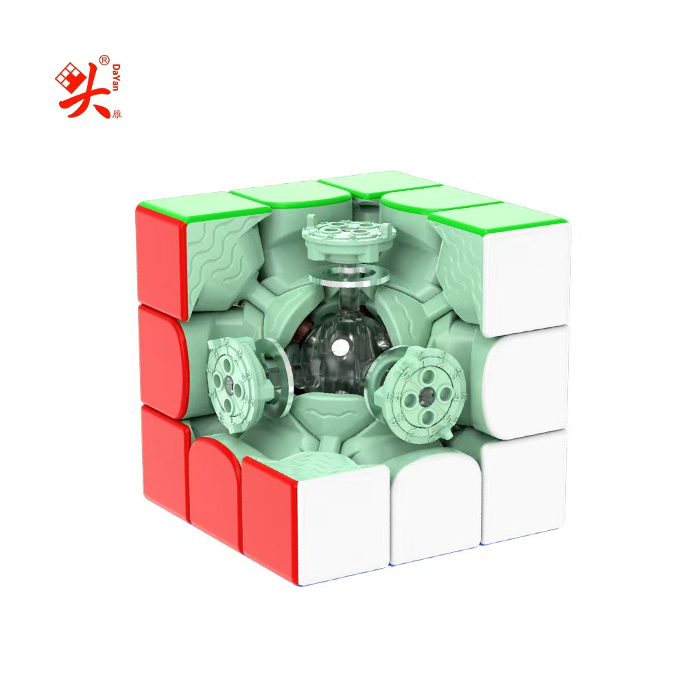 Dayan Zhanchi V5 M