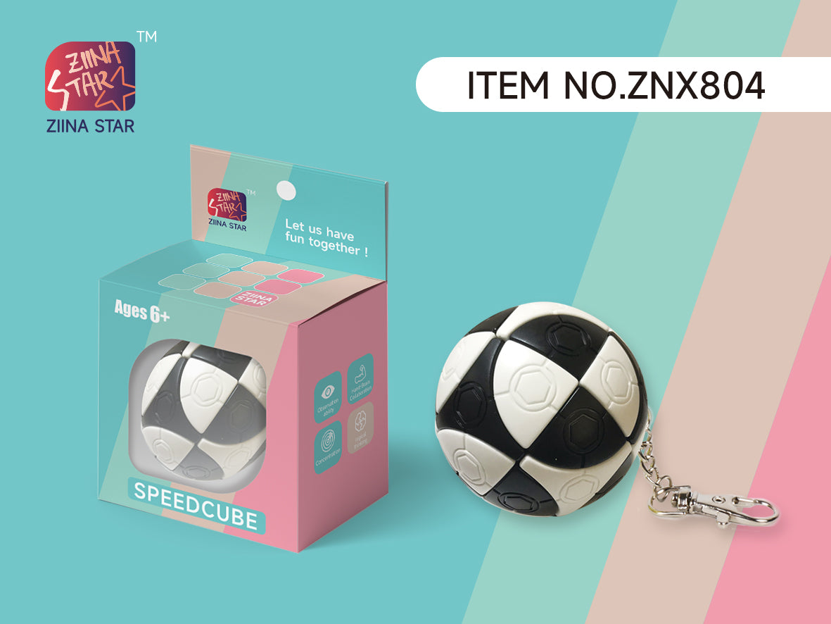 Ziina keychain series