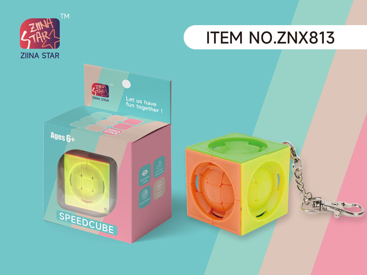 Ziina keychain series