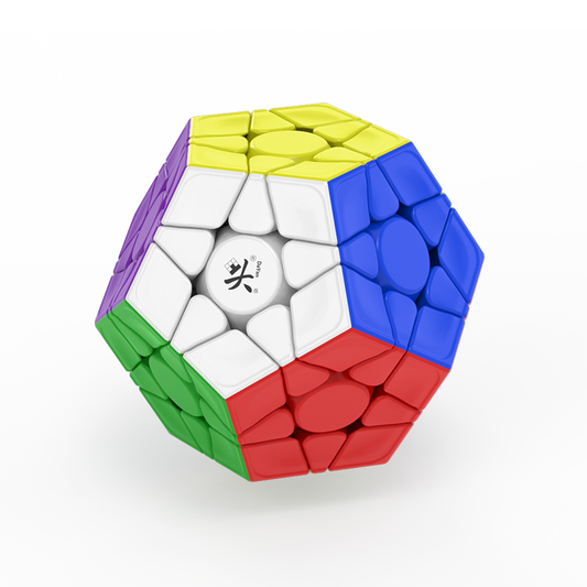Dayan Megaminx V2 M