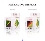 Qiyi Master Pyraminx