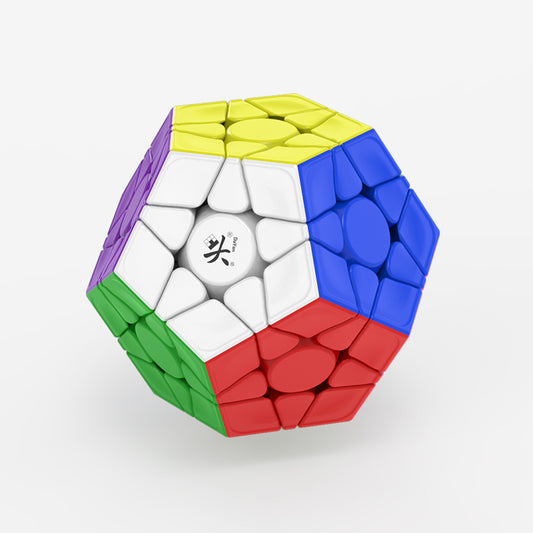 Dayan Megaminx V2 M