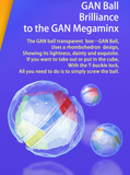 Gan Megaminx - Cubewerkz Puzzle Store